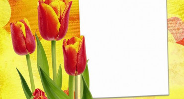 Милые дамы, поздравляем Вас с 8 марта — Днём Весны и Красоты 3